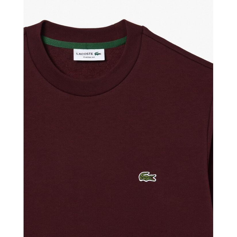 Organic Brushed Cotton Sweat - Image 2